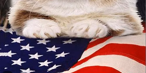 'Merica! Jage! Pine Cove!