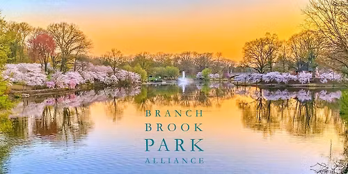 Cherry Blossom Season: Historic & Horticulture Walking Tour