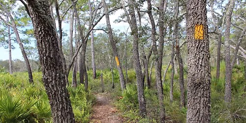Guided Hike at Chasssahowitzka WMA