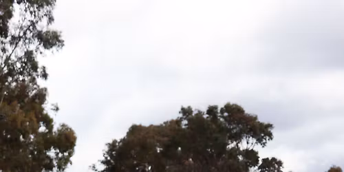 SDMA One Lap Hillclimb