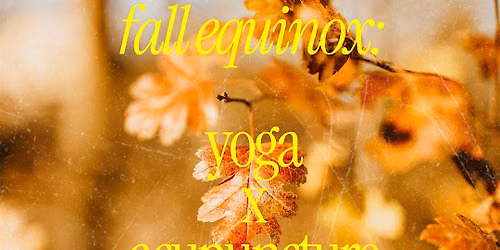 Fall Equinox: Yoga x Acupuncture
