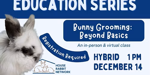 HRN Education Series: Bunny Grooming: Beyond Basics