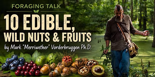 10 Edible, Wild Nuts & Fruits by Mark "Merriwether" Vorderbruggen Ph.D.