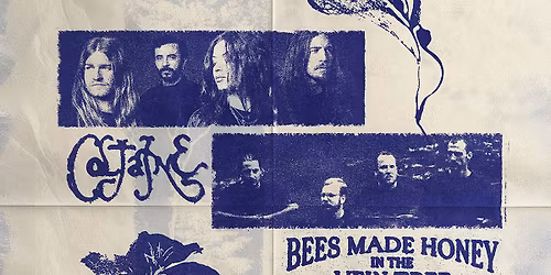 COLTAINE | BEES MADE HONEY IN THE VEIN TREE im JuHa West, Stuttgart