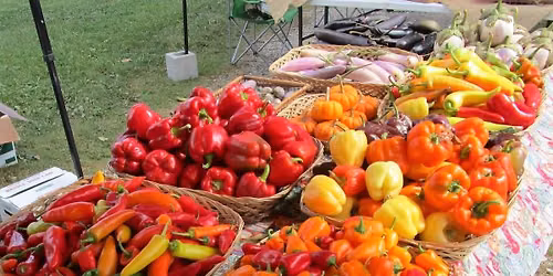 October Farmers Market