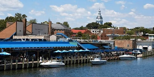 Harbor Hustle