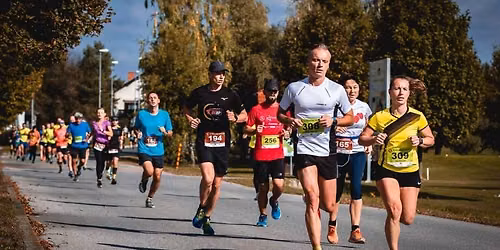 10. Prekmurski mali maraton