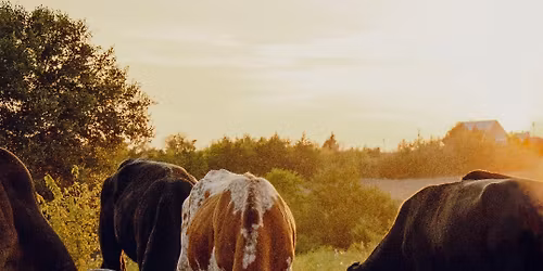 124th Annual Texas Farmers Union Convention 