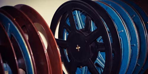 Cabin Fever | Daisymaker | Birds?