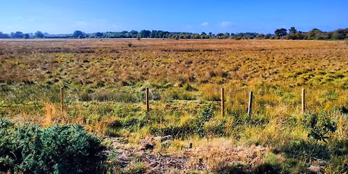 July Wednesday Evening Walk - Heslington - 5 miles\/8km