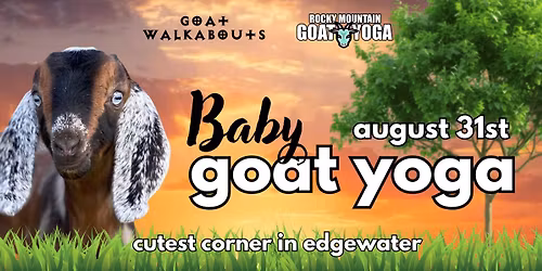 Baby Goat Yoga - August 31st (Goat Walkabout HQ)