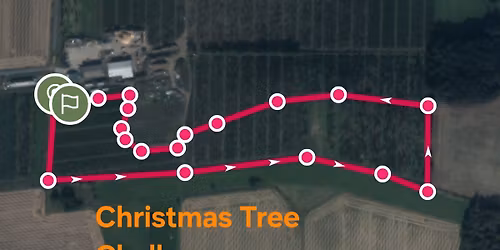 Dundee and Angus Christmas Tree Hill Sprint Challenge