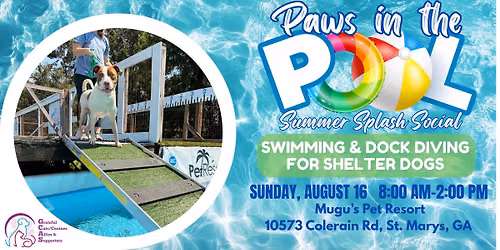 Paws in the Pool: Summer Splash Social