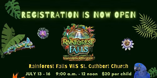 RainForest VBS