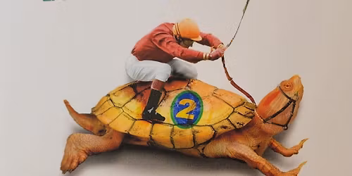 Lake James Turtle Races