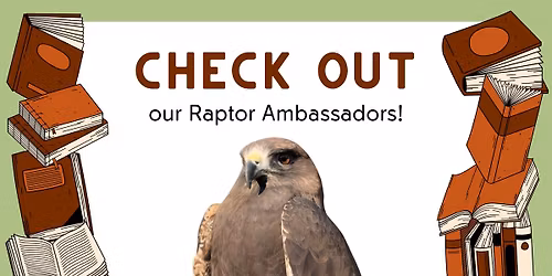 Raptors at the Millcreek Library