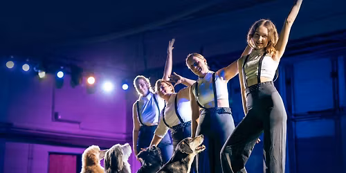 Vienna Calling - DogDance Competition