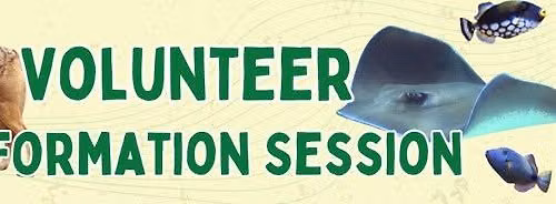 Volunteer Information Session