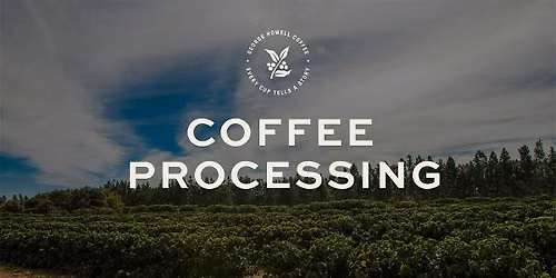 Coffee Processing