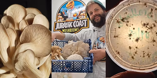 Family mushroom growing lab