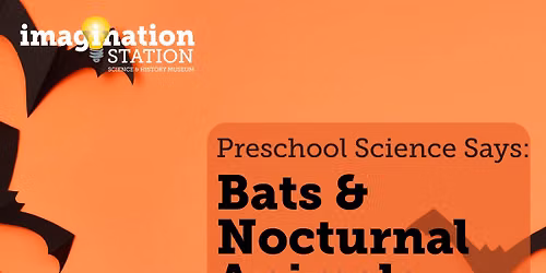 Preschool Science Says: Bats & Nocturnal Animals