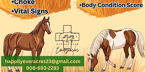 Equine First Aid Course