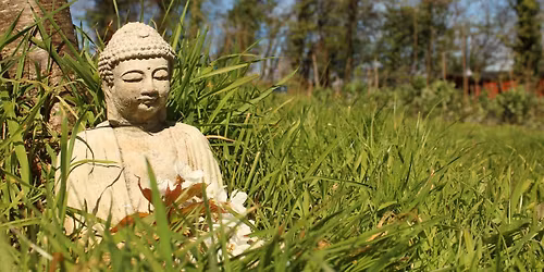 Buddhism for Beginners: 6-night meditation & mindfulness retreat