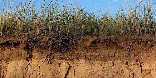 Taller de Suelos Vivos