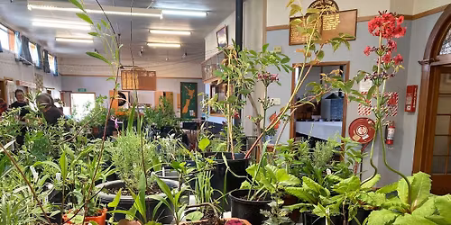 Eket\u0101huna Club Annual Plant Sale