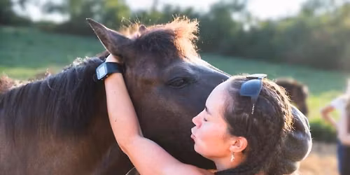 Z\u00e1klady fyzioterapie II. druh\u00e1 \u010d\u00e1st s MVDr. Dominikou \u0160vehlovou