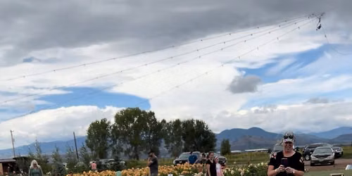 Bloomstead Farm Day FREE!