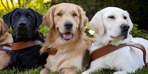 eGtr w\/Four Guise @ Camas Moose