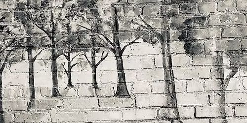 The Mushroom Herders : Organically GA-Grown Folk