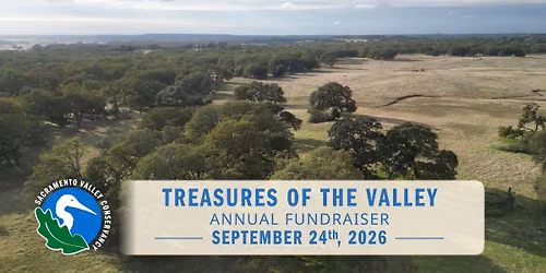 Treasures of the Valley