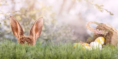 Oster-Spa\u00df f\u00fcr Kinder