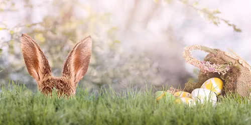 Oster-Spa\u00df f\u00fcr Kinder