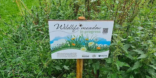 Nature Workshop at Ashwood Park