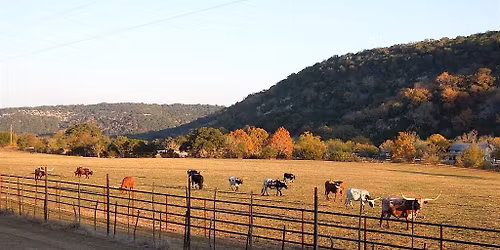 Heirs\u2019 Property:Co-Op Development \/Tools & Resources for Landowners