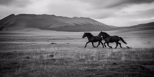 Healing With Horses: A Meditative Morning at Medicine Horse