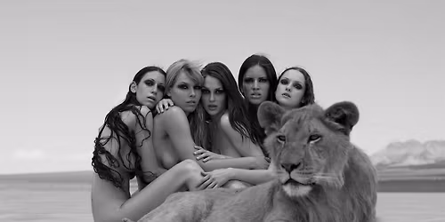 SYLVIE BLUM\/WILD BEAUTY Artist Talk & Book Signing 11\/23\/25