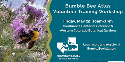 Colorado Bumble Bee Atlas Training Workshop, Grand Junction