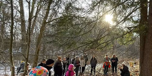 Holiday Foraging & Wild Tending Class