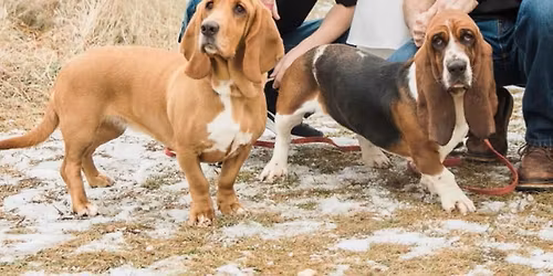 Annual babies reunion 