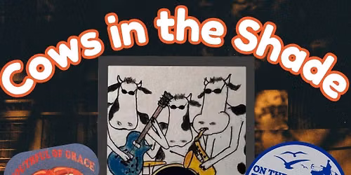 Cows in the Shade Live On The Rocks