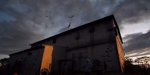 9th annual Halloween Bat count@ Sunrift