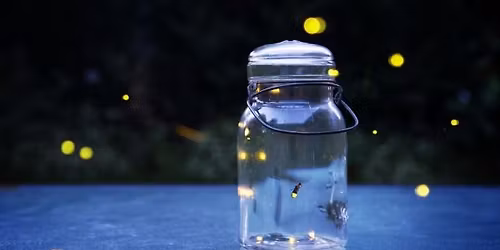 Firefly Garden Hikes