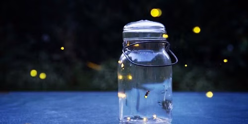 Firefly Garden Hikes
