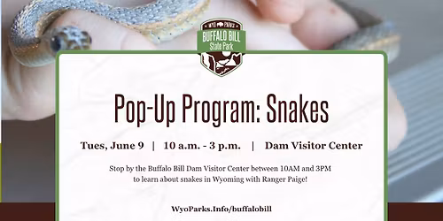 Pop-Up Program: Snakes