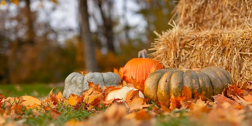 Harvest Party - October 29, 6-8pm