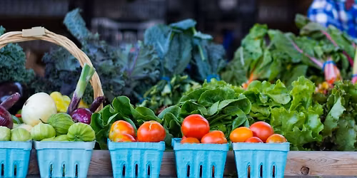 Fresh Food Discovery Day